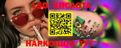 не бодяженный Сланцы