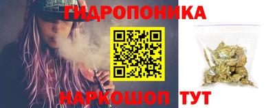 не бодяженный Сланцы