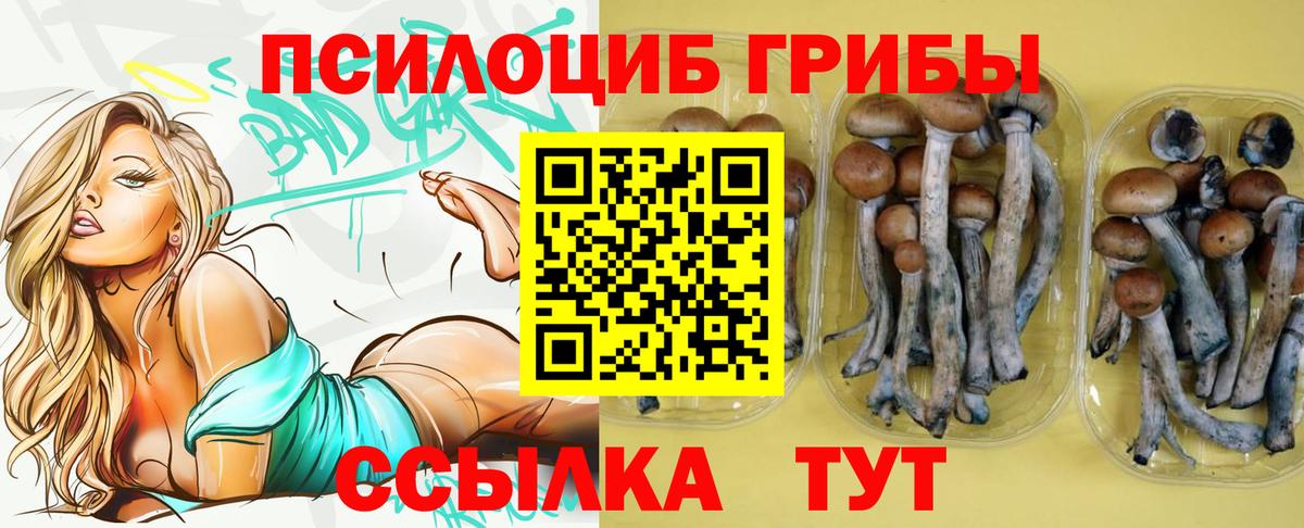 Галлюциногенные грибы прущие грибы  Вход с VPN  Мурино 