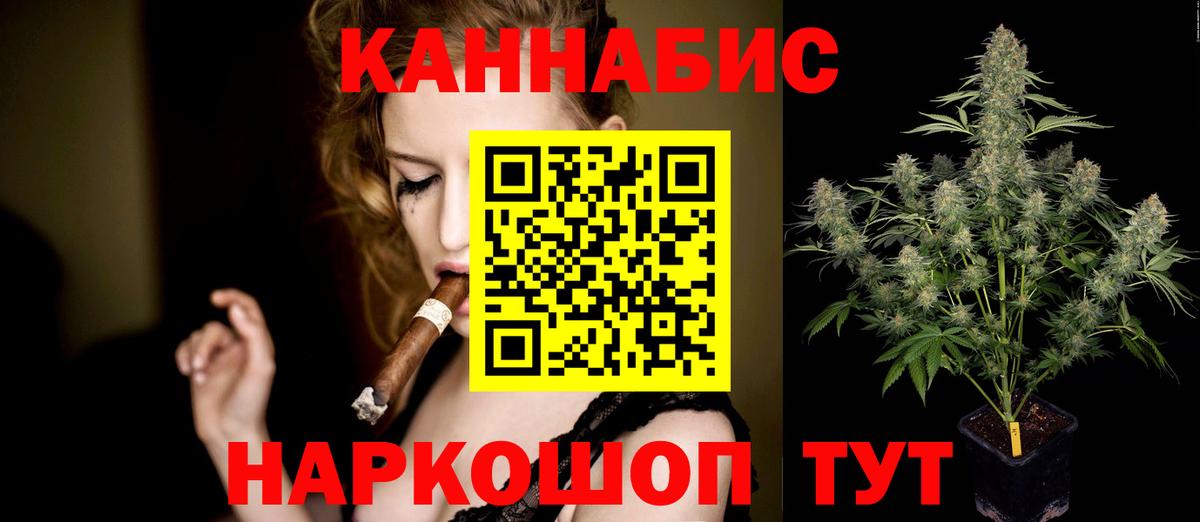 Шишки марихуана план  МАРИХУАНА индика  Мурино  Вход с VPN 